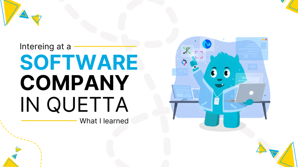 interns learning at a software company in Quetta