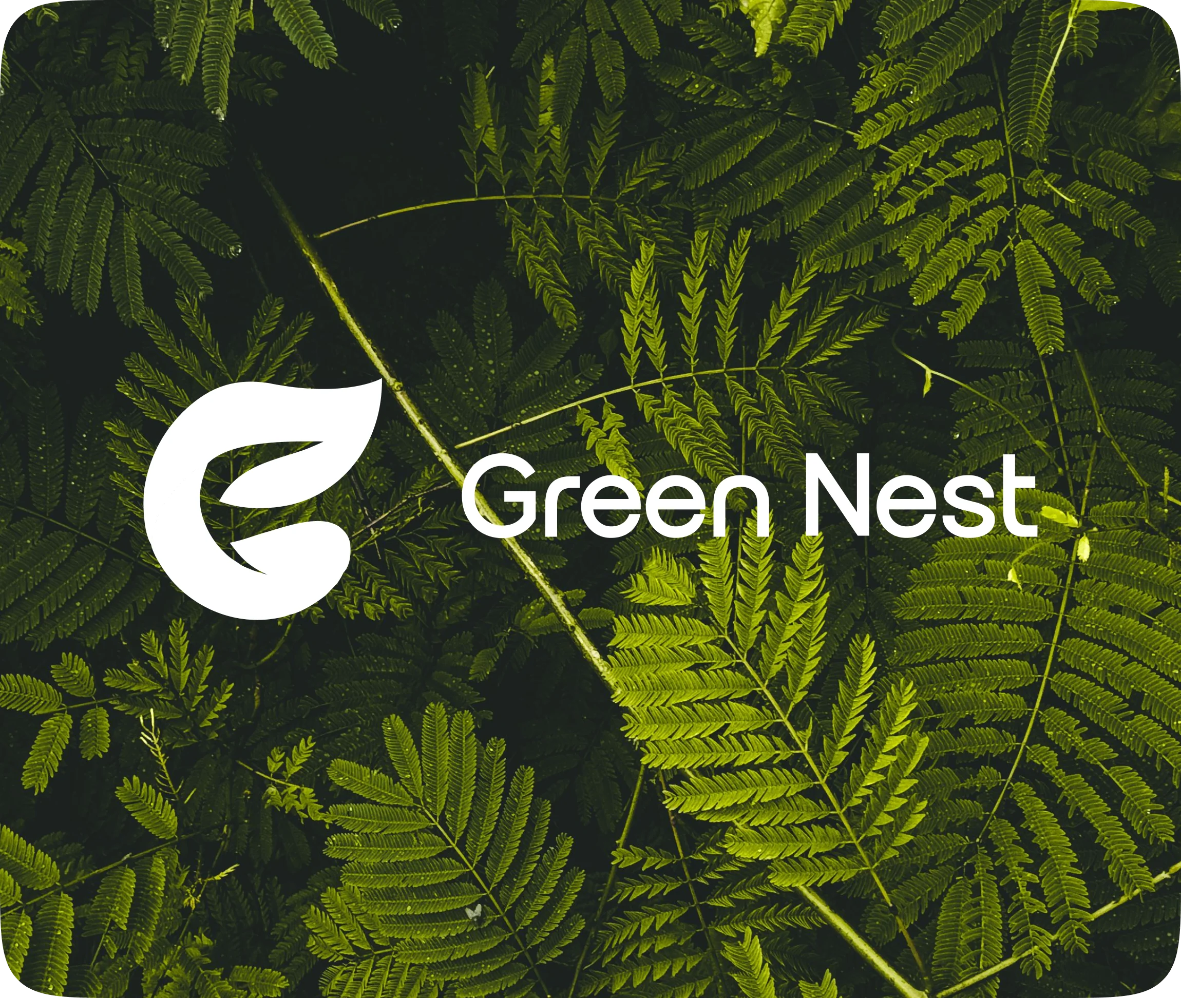 Green Nest leaf logo on a fern background